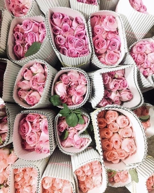 Rosas