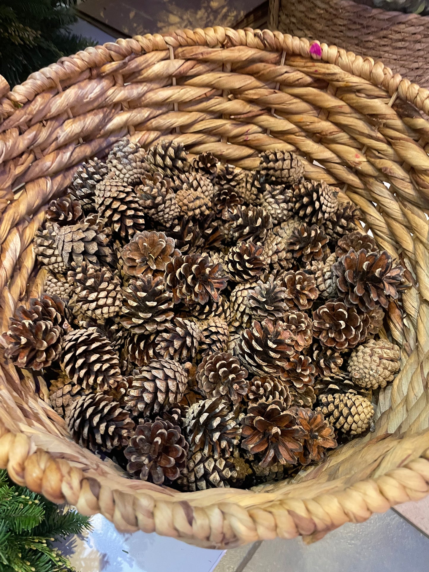 Mini Pine Cone