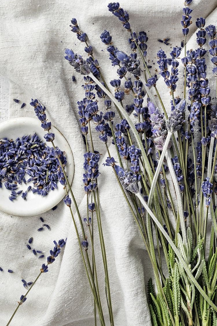 Lavanda