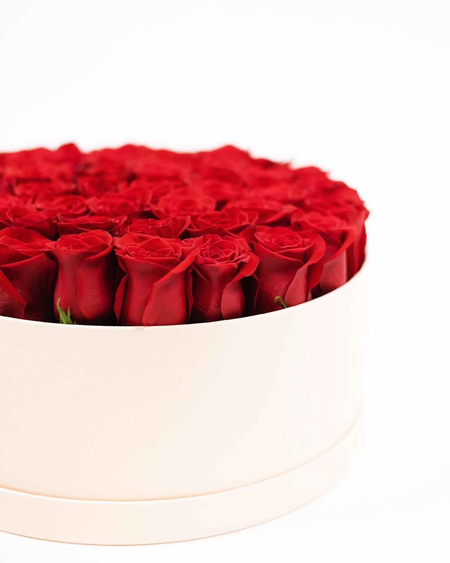 Roses Garden