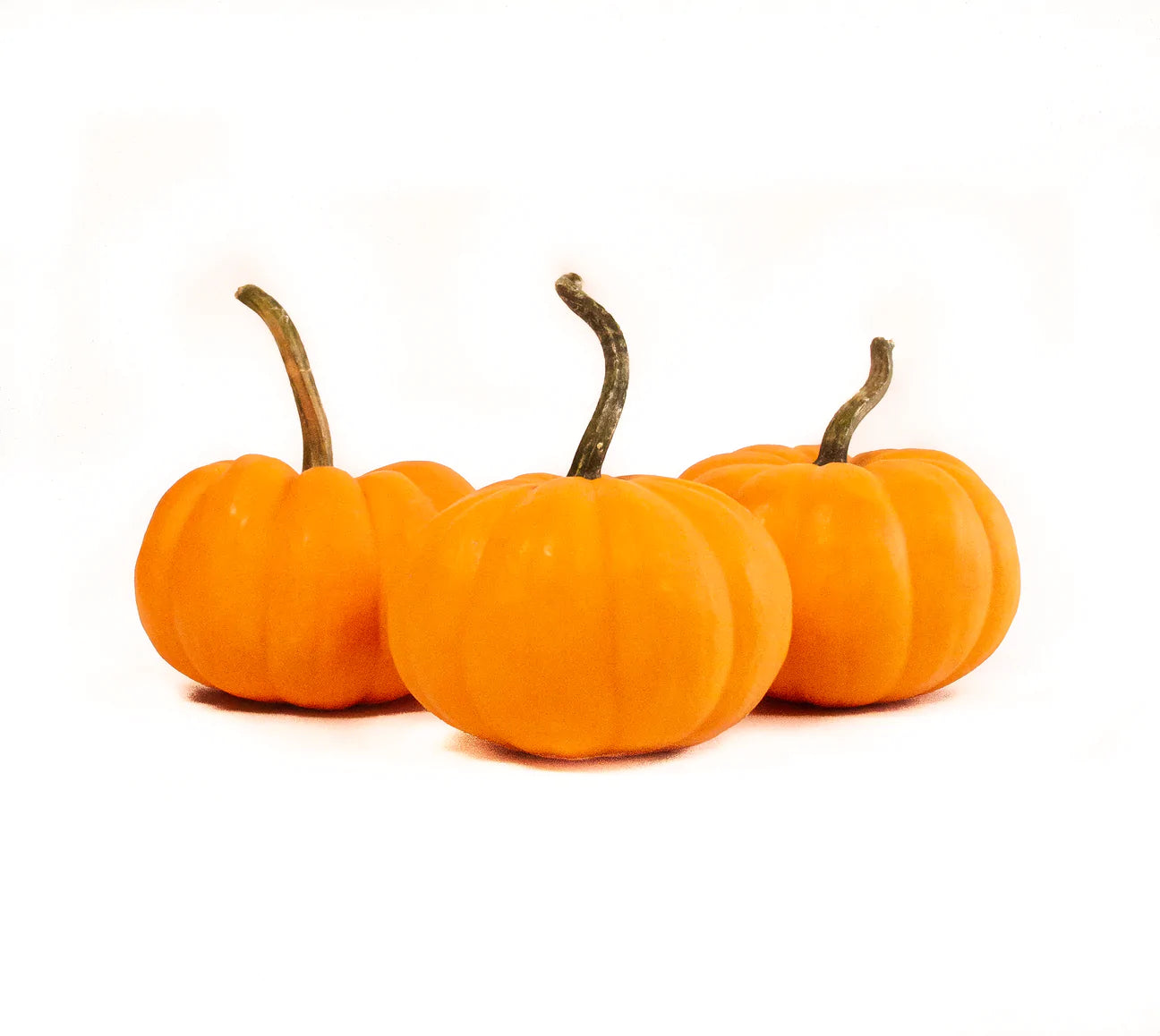 Traditional Pumpkin
