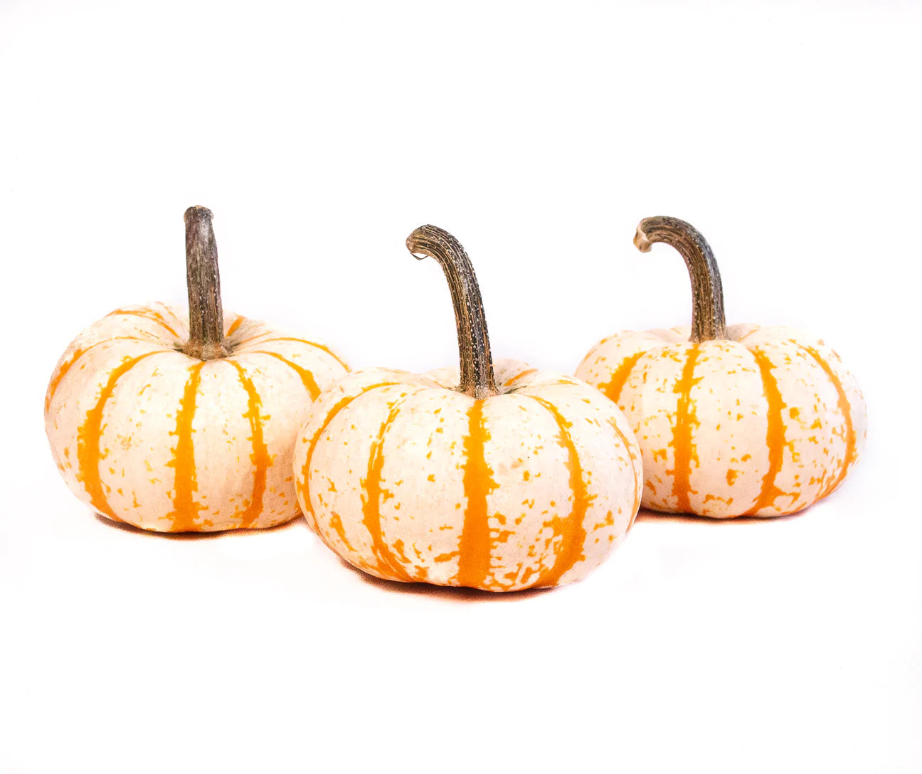 Pumpkemon