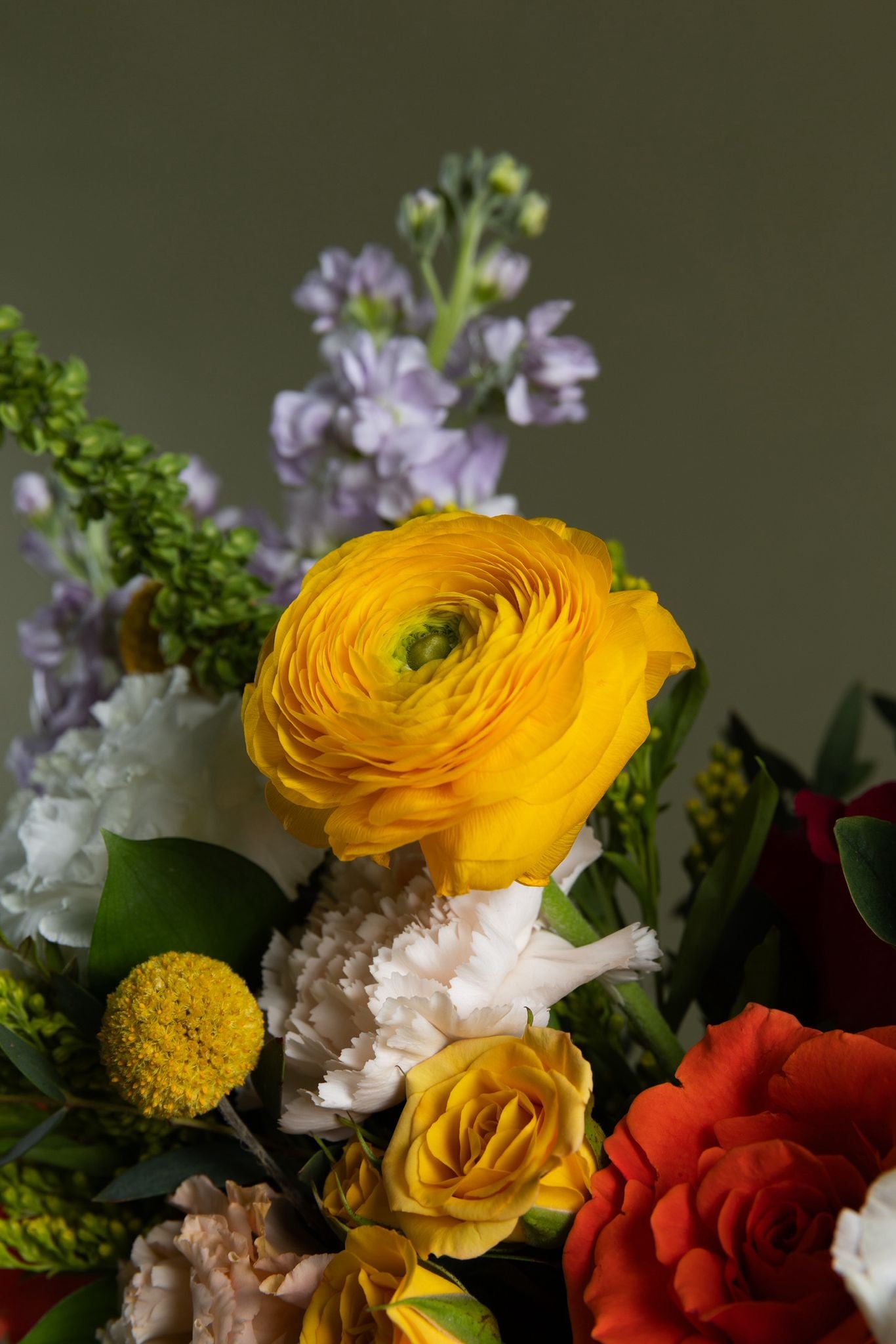 Petal Élan