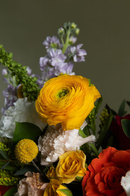 Petal Élan